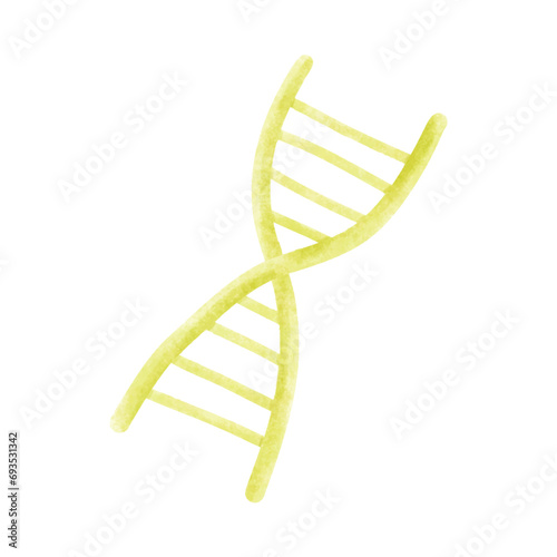 Science and technology concept. Yellow DNA, double helix spiral isolated on white background. Watercolor vector illustration.