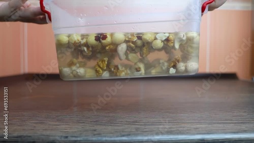 Soaking nuts. Girl shows dirty seeds. Chemical processing of food. Digestive problems are caused by intolerance peanuts, allergies cashews, hazelnuts. Allergic reaction phytic acid. Before and after photo