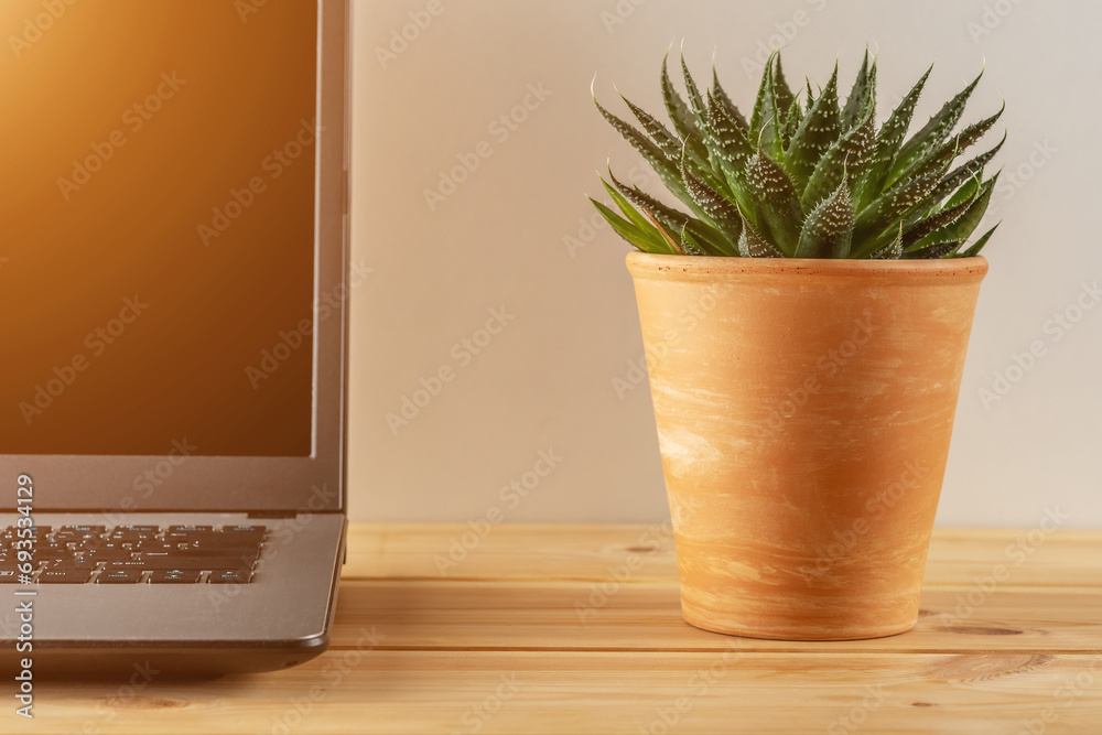 Fototapeta premium Laptop on a wooden table with a cactus plant. Home office concept.