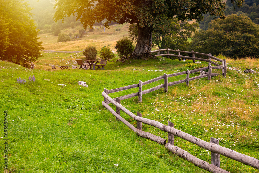Green fields and farmlands with wooden fence