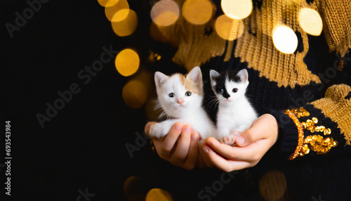 Holiday cute cat , space for text, gold Christmas background, girl holding a cat in her arms