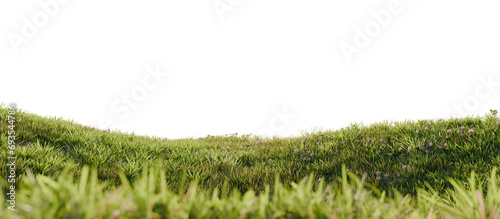Hills with grass with dandelions on a transparent background. 3D rendering.