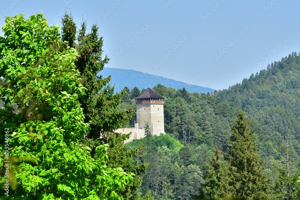 View from behind the trees of the old castle tower