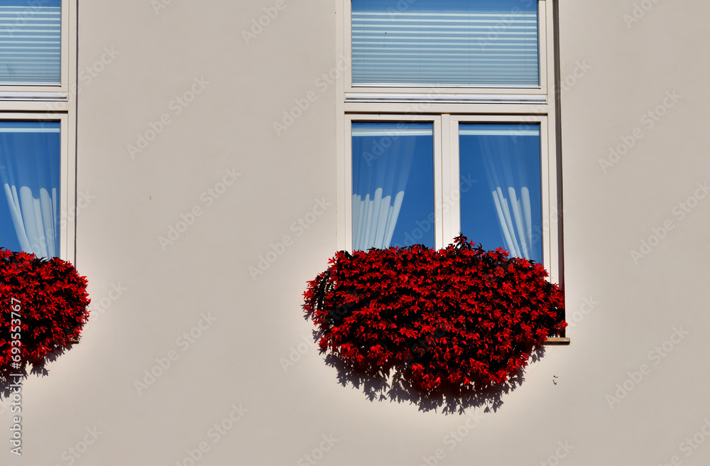 Light brown wall with red decorative flowers on the windowsill of the house