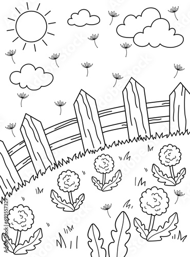Backyard with dandelions, fence and grass. Summer sunny day. Background, coloring page, black and white vector illustration.