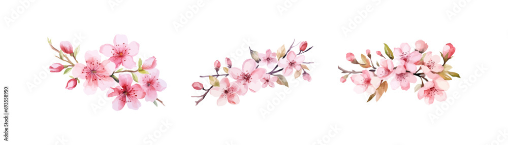 Watercolor blossom flower clipart for graphic resource. Vector illustration design.
