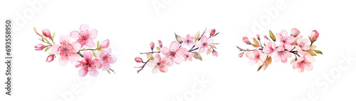 Watercolor blossom flower clipart for graphic resource. Vector illustration design. photo