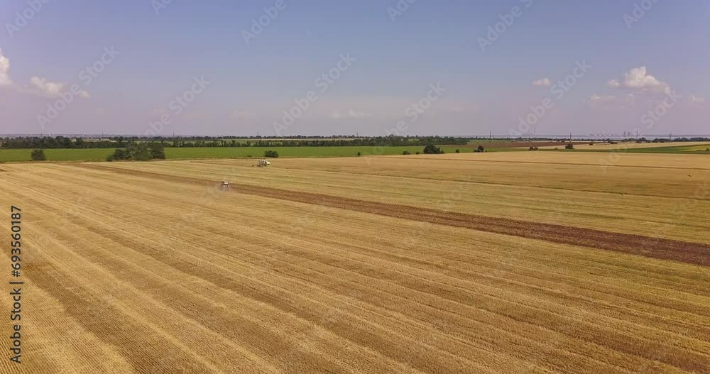 Harvester and tractor work on a large field of wheat Harvester and tractor work on a large field of wheat