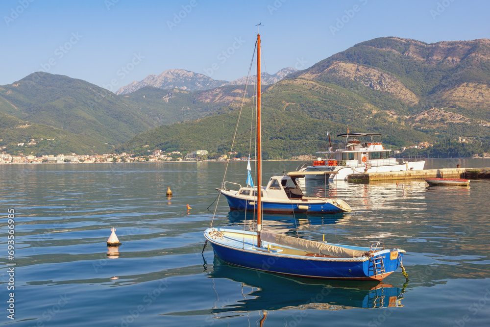 Beautiful sunny Mediterranean landscape on sunny summer day. Montenegro, Adriatic Sea. Bay of Kotor near Tivat city