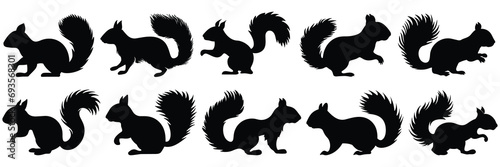 Squirrel silhouettes set, large pack of vector silhouette design, isolated white background photo