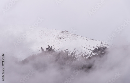 A view through the fog of a dense pine forest in Bansko, Bulgaria. Beautiful winter panoramic mountain landscape. Snowy mountains in Bansko, Bulgaria, nature background.
