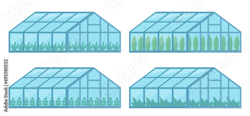 Greenhouses with glass walls, agricultural buildings. Cultivation of agricultural crops. Vector Illustration.