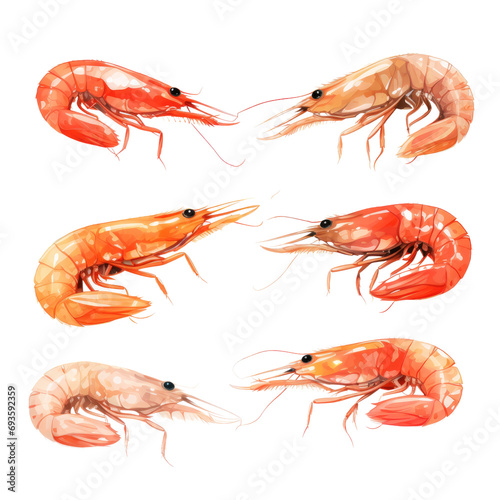 Shrimps isolated on white or transparent background