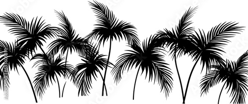 Tropical palm tree on white background, Vector design. AI generated illustration.