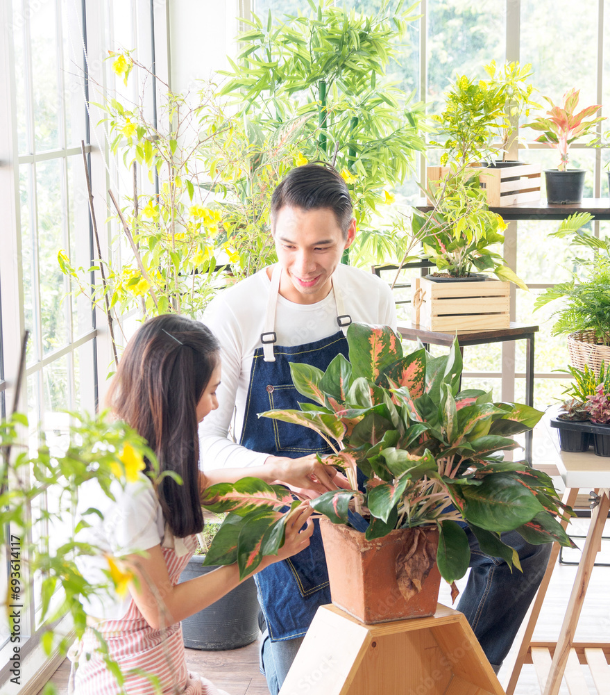 Portrait gardener young Asian man woman two person sit floor and smiling looking hand holding help decorate tree leaf green in calm work shop home plant white wall. hobby job happy and care concept Portrait gardener young Asian man woman two person sit floor and smiling looking hand holding help decorate tree leaf green in calm work shop home plant white wall. hobby job happy and care concept