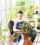 Portrait gardener young Asian man woman two person sit floor and smiling looking hand holding help decorate tree leaf green in calm work shop home plant white wall. hobby job happy and care concept