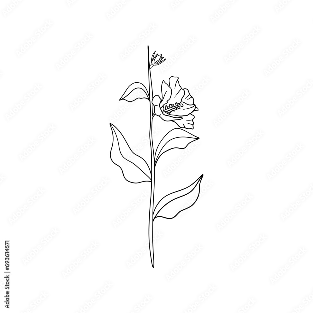 Abstract linear flower art. Minimalist drawing of small botanical element, fine line tattoo sketch. Vector illustration Abstract linear flower art. Minimalist drawing of small botanical element, fine line tattoo sketch. Vector illustration