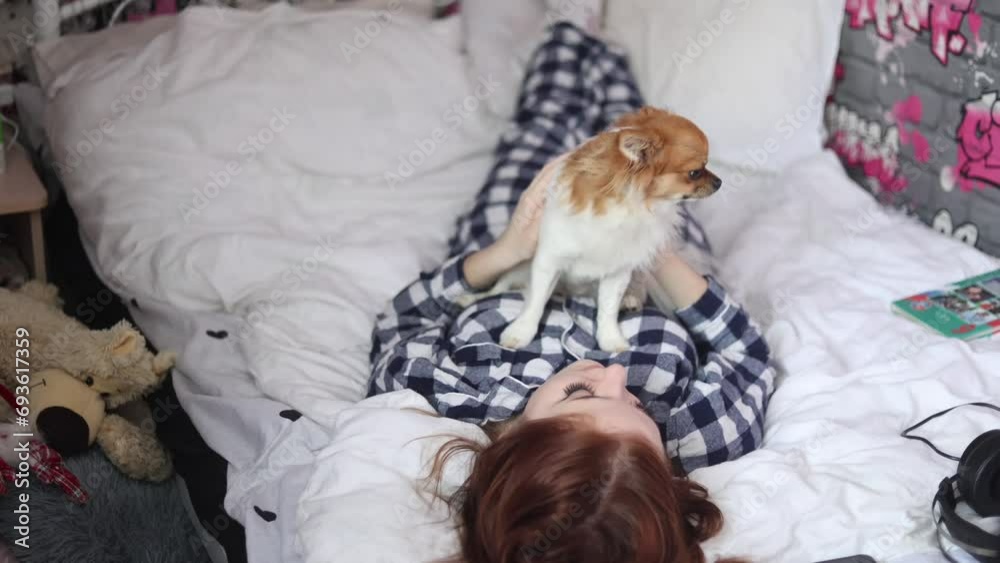 red-haired girl with a Chihuahua dog on the bed red-haired girl with a Chihuahua dog on the bed
