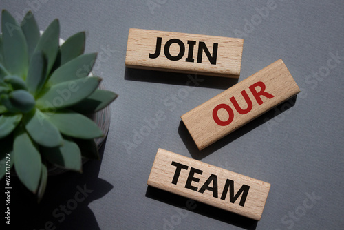 Join our team symbol. Wooden blocks with words Join our team. Beautiful grey background with succulent plant. Business and Join our team concept. Copy space.