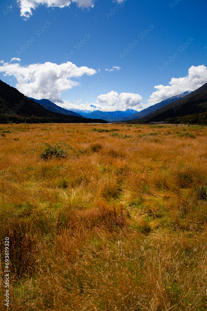 Fauna of South Island, New Zealand Fauna of South Island, New Zealand