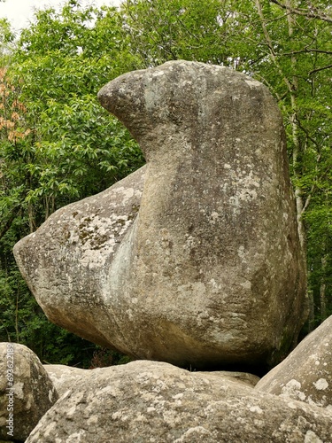 Rocher appelé « roc de l’oie » dans le massif du Sidobre près de Castres   photo