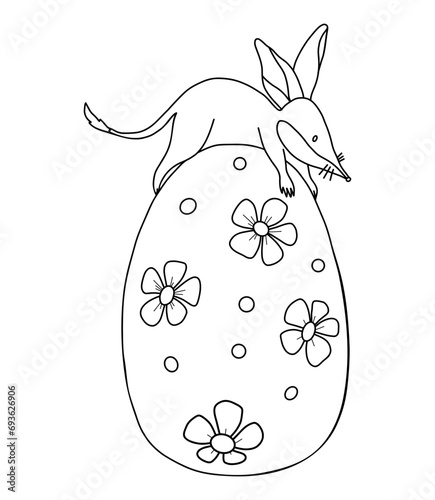 Little animal bilby on Easter egg. Australian animal. Linear, outline drawing, coloring book. Kids collection. Vector illustration. photo