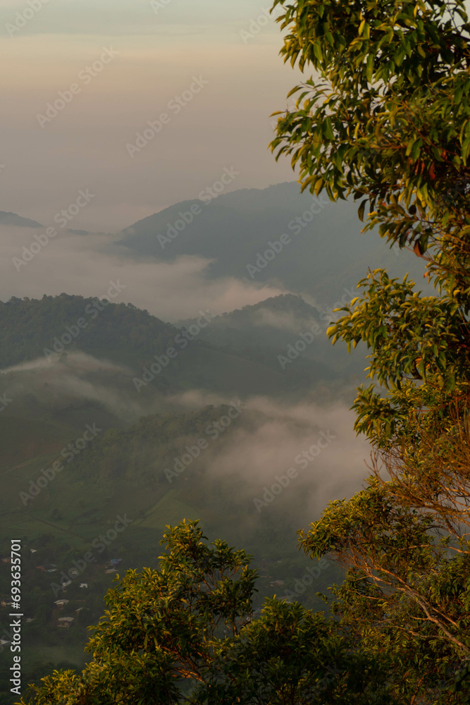 The stunning view from a tourist's standpoint as they go down a hill on a foggy trail with a hill and a background of a golden sky in Forest Park, Thailand. Bird's eye view. Aerial view.	