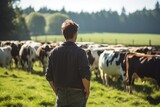 Gentleman Appreciating A Group Of Cattle In A Radiant Pasture