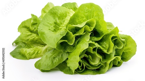 Fresh head of lettuce, full of green, crisp leaves, ideal for salads and healthy meals, isolated on a white background