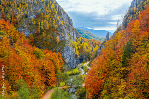 The Taii gorges (from the Sureanu mountains, Romania) with steep white or gray limestone slopes have a special landscape and tourist value. © Gavrila