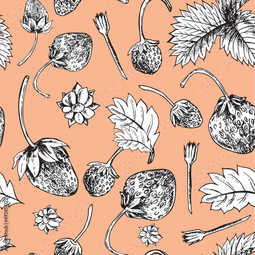Seamless pattern with strawberry berries and leaves. Hand drawn illustration sketch vector. peach fuzzy background. For textile, packaging, wallpaper, digital paper, crafting.