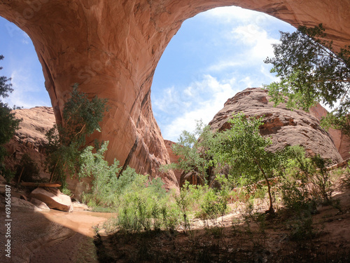 hiking through the coyote gulch with view to the jacob hamblin arch in Grand Staircase-Escalante National Monument Utah photo