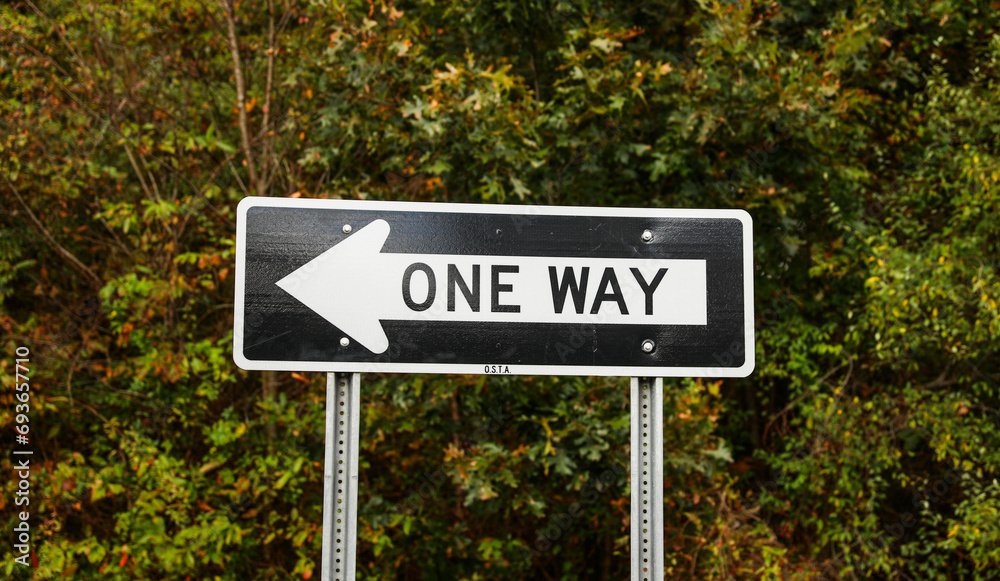 One-way arrow, urban symbol of directional flow and traffic control, against cityscape backdrop One-way arrow, urban symbol of directional flow and traffic control, against cityscape backdrop