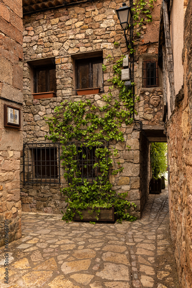 Picturesque narrow street in the old town of Medinaceli with antique old stone buildings with climbing plants on the facade, Soria, Castilla y Leon, Spain
