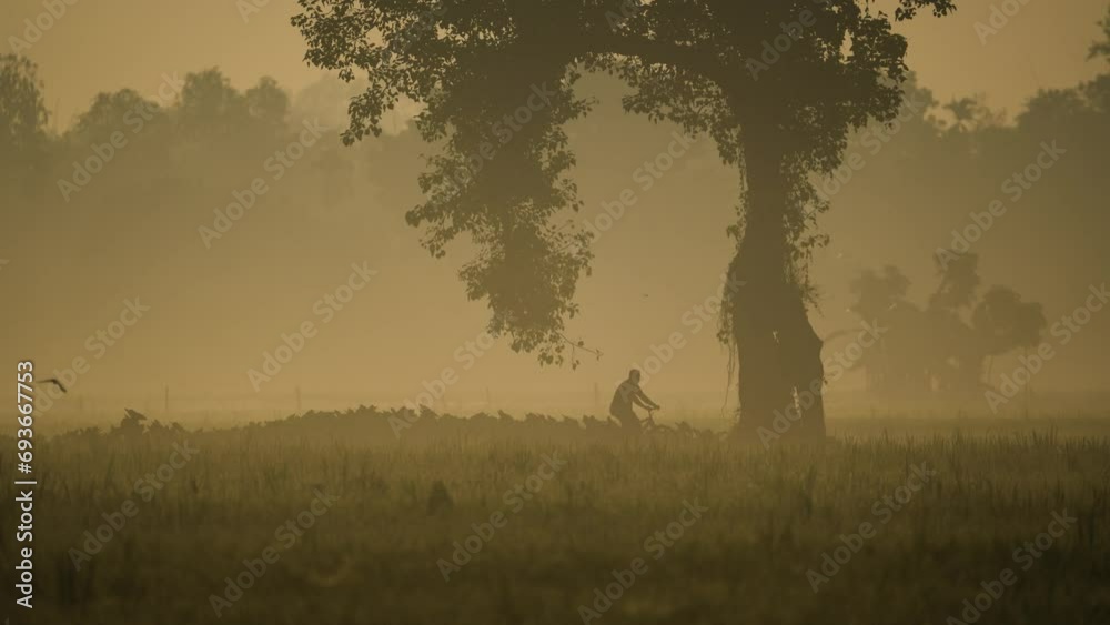 The beauty of a foggy winter morning as nature weaves its magic, revealing the serene coexistence of villagers and the landscape. A glimpse into a tranquil, harmonious rural life The beauty of a foggy winter morning as nature weaves its magic, revealing the serene coexistence of villagers and the landscape. A glimpse into a tranquil, harmonious rural life