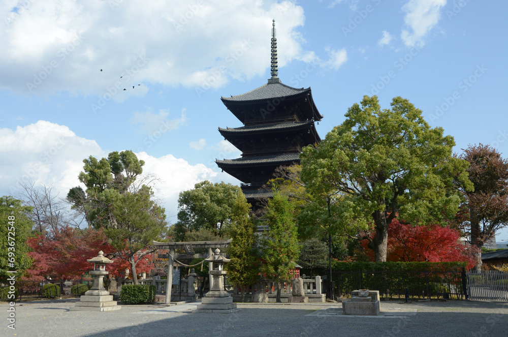 秋の東寺 五重塔 京都市南区 秋の東寺 五重塔 京都市南区