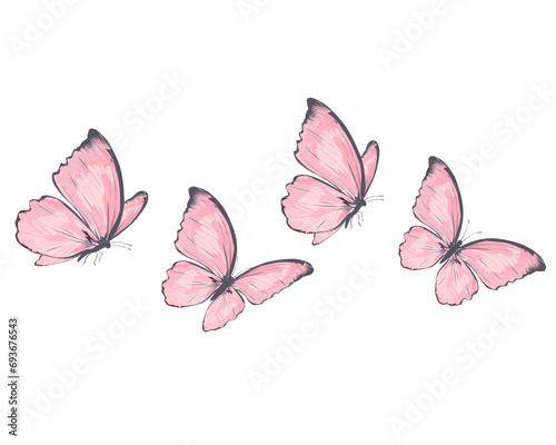 pink and white butterflies