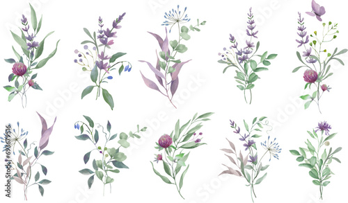 Watercolor floral set with lavender, eucalypt, clover. Hand drawing illustration isolated on transparent background. Vector EPS.