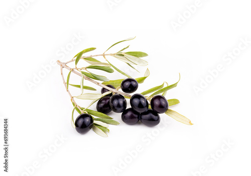 Fresh black olive on the white background