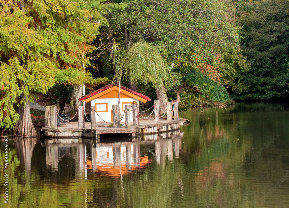 Obraz premium Istanbul / Turkey, Ataturk arboretum autumn view. Travel concept photo.