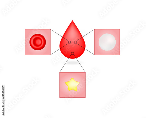 Blood Composition. Red Blood cells, erythrocytes, platelets, thrombocytes, and White blood cells, leukocytes. Vector illustration.