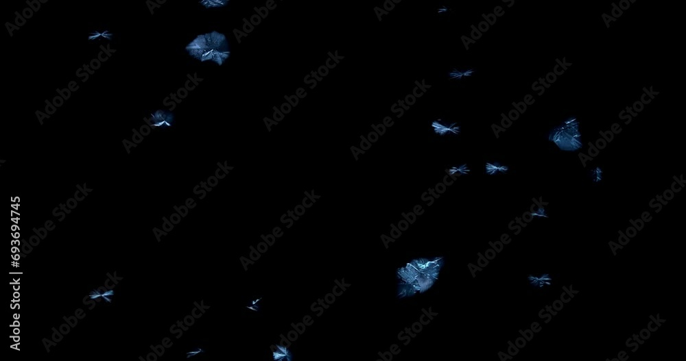 Winter window frost time lapse of frozen crystals or realistic frost snowflake pattern slowing forming on glass, cold winter background.