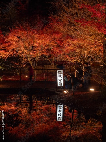 Toki City, Gifu Prefecture, Japan Upside Down Autumn Leaves Illuminated Autumn Leaves