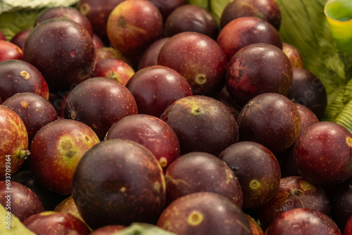 camu camu fruits, Myrciaria dubia, exotic fruit from the Amazon that grows on the banks of rivers, it is highly appreciated for its flavor, it is considered the fruit with the most vitamin C © Gino Tuesta