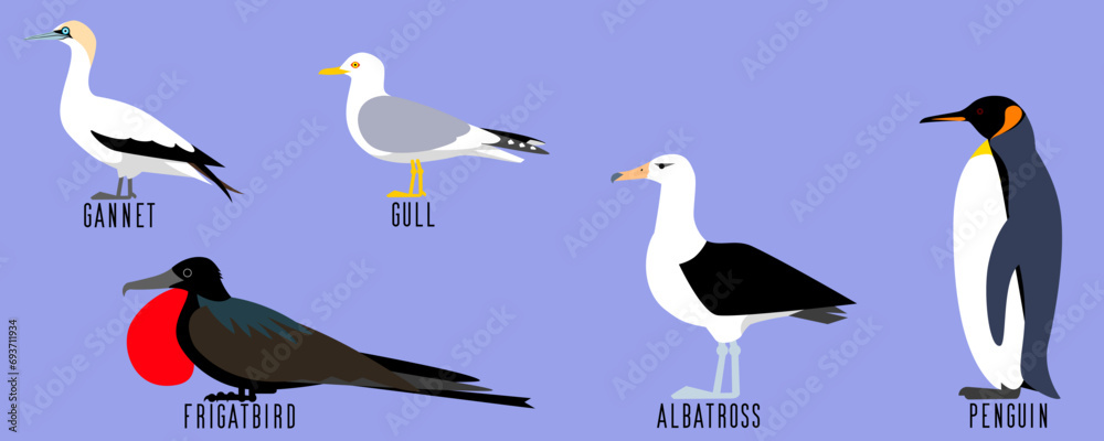 Obraz premium 海鳥5種のベクターイラスト