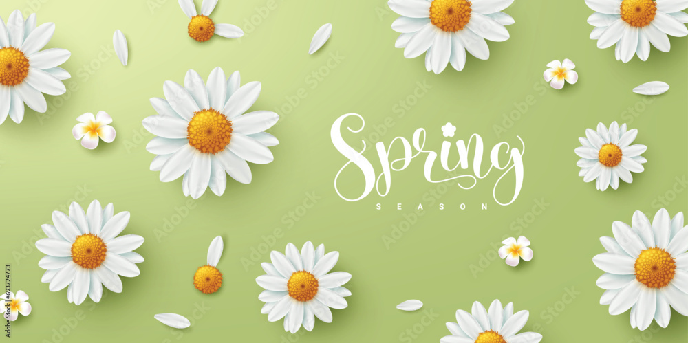 Spring season text greeting vector design. Spring season text in green background with daisy blooming and plumeria flowers elements decoration. Vector illustration spring greeting card banner.
