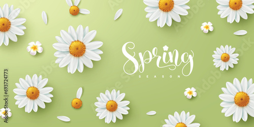 Spring season text greeting vector design. Spring season text in green background with daisy blooming and plumeria flowers elements decoration. Vector illustration spring greeting card banner.
 photo