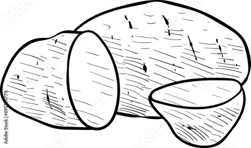 potatoes handdrawn illustration
