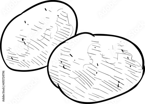 potatoes handdrawn illustration