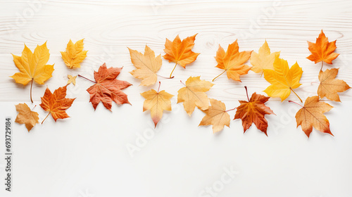 autumn, leaf, fall, leaves